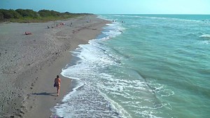 23K views · 784 reactions | Just south of Sarasota along Florida’s white-sanded Gulf Coast, Venice offers 14 miles of beaches from Casey Key to Manasota Key and plenty of recreational opportunities, including swimming, sunbathing, fishing and boating. #LoveFL | VISIT FLORIDA | Facebook