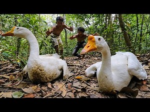 Catch & Cooking Goose Recipes - Fried Tasty Goose Recipe