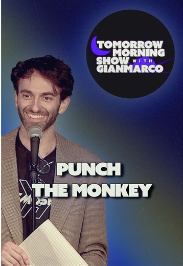 Punch the Monkey: Hilarious Stand-Up Comedy Segment