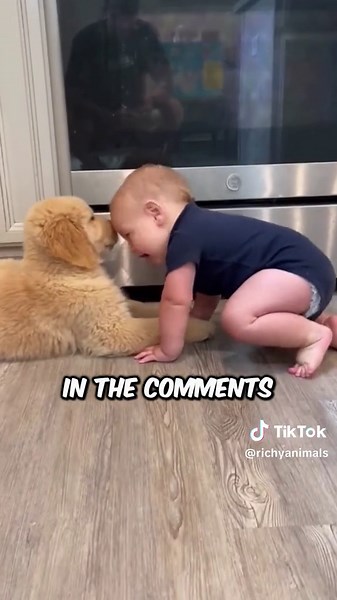 3 WORST Dog Breeds 😡 🐶 #dog #animals #baddog #fyp #richyvidz