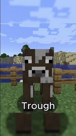 Mini Mod Showcases - Animal Feeding Trough