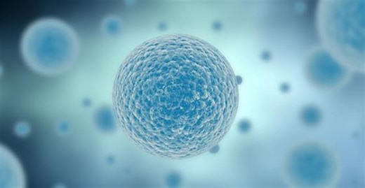 5. Grippe A, grippe B, grippe C, qu’est-ce que c’est ? - RTS Éducation - Play RTS