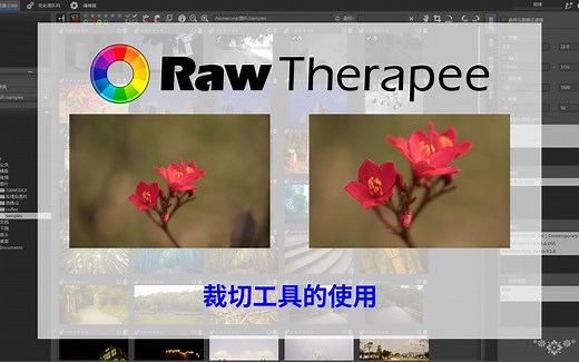 Lightroom代用品Rawtherapee中文教程、实例讲解——11-裁切工具的使用