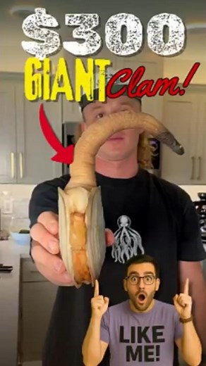 WORLD’S MOST EXPENSIVE CLAM! Man Prepares Giant Geoduck Worth $300 – You Must See This!
