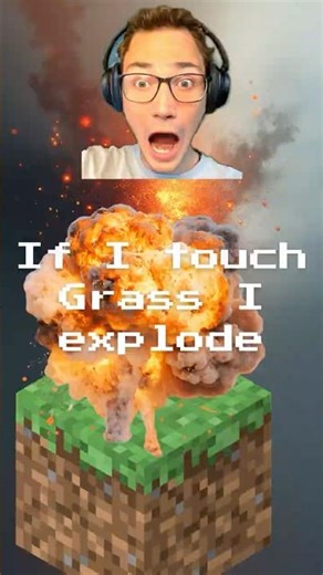 If I touch grass I explode #minecraft