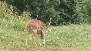 72K views · 2.5K reactions | V Zoo Ostrava - oficiální stránky se...