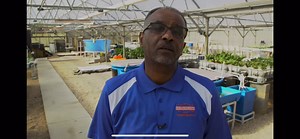 Virginia State University (VSU) College of Agriculture’s three departments, Agriculture, Hospitality Management, and Family and Consumer Sciences, provides students the tools they need to become the next generation of industry leaders, policymakers, educators, scientists and researchers. Participate in VSU’s FIRST Day of Giving and give a gift to the College of Agriculture that keeps giving. Are YOU All In For State? Day of Giving Information: https://bit.ly/VSUDAYOFGIVING21 | Virginia State Uni