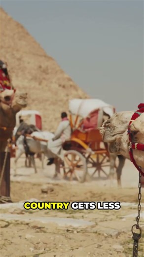 5 Fun Facts About Egypt