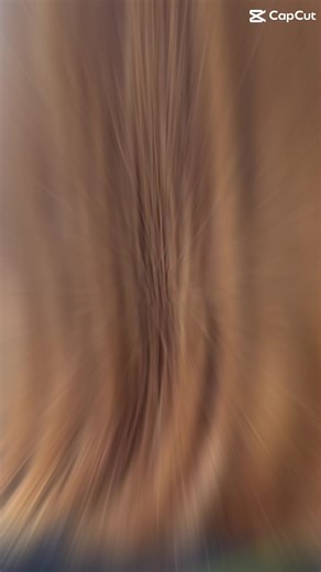 Cabello Fix salon on TikTok