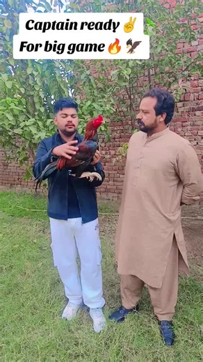 Captain Ready for the Big Game: Aseel Lovers Unite!