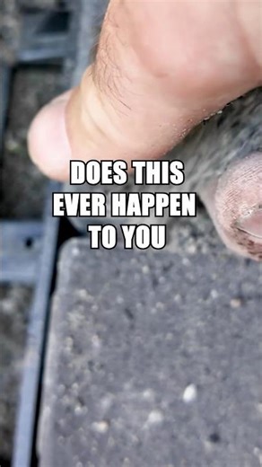 Pro Paver Joint Sanding | Tip and Trick #diy #homeimprovement