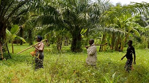 LAND-at-scale: Land governance for sustainable development