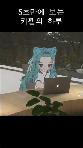 5초만에 보는 키펠의 하루