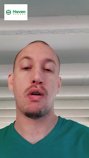 Haven Hedges, the BEST way to get more backyard privacy. #backyardvibes #backyard #politics #fence #backyardideas