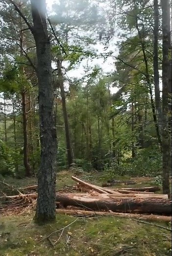 Poligon Borne Sulinowo - Skotna Góra - panorama na szczycie 360