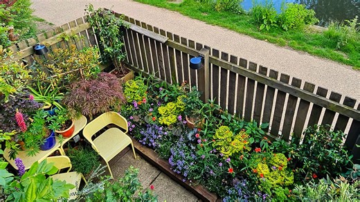 The tiny Yorkshire garden up for a national award