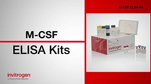 M-CSF ELISA Kits