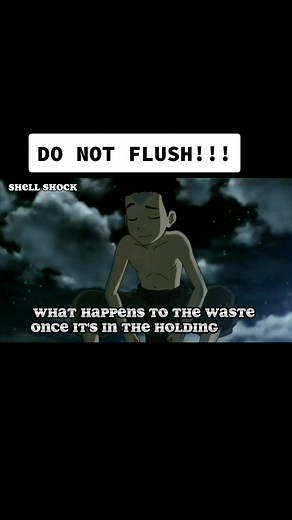 How Airplane Toilets Work: Understanding the Flush Process