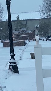 Tennessee Walking Horse National Celebration on Reels