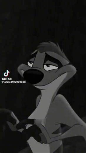 فيديوهات أنشأها اريان (@www.truecaller.com77) باستخدام الصوت الأصلي - اريان