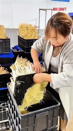 DIY pumpkin cutting tool： A smart tool boosts cutting efficiency #mixcraft