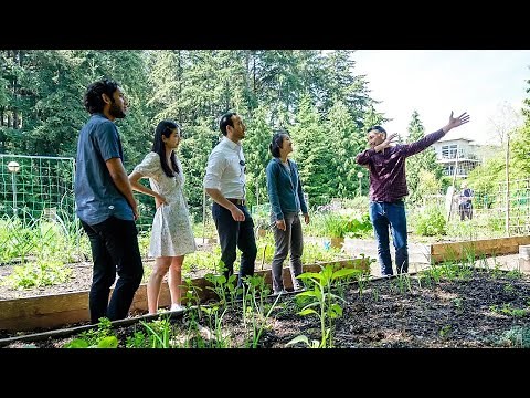 Master of Urban Forestry Leadership at UBC Faculty of Forestry
