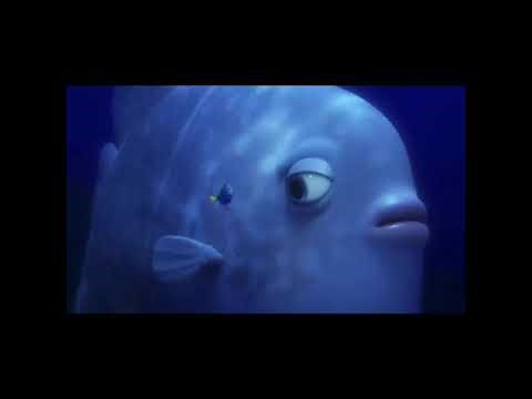 Opening to Gregor and the Friends (2003) DVD (Full Screen Version)