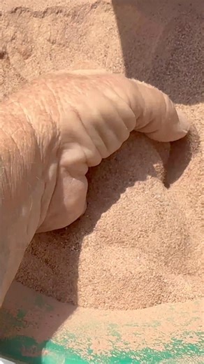 Rushing Rocks! This is a K&M Crusher. It works Great! | Jack Tucker