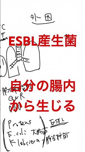 ESBL産生菌はどこから来るのか