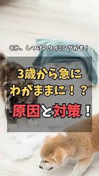 3歳から急にわがままに！？原因と対策！