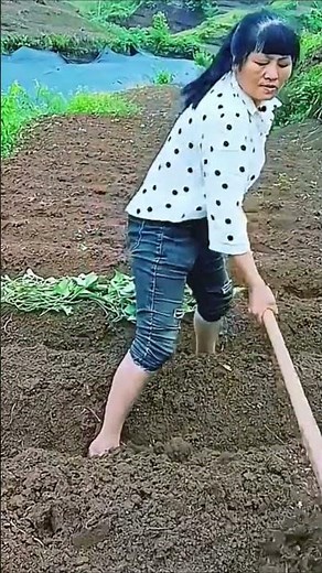 Amazing Agricultural Work with Modern Farming Machines