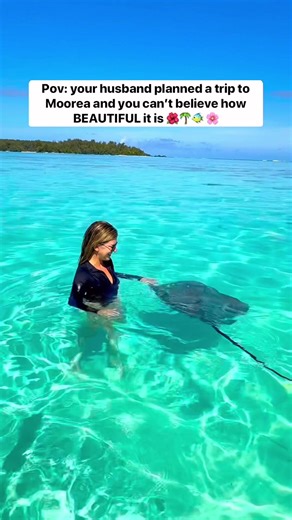 Exploring Moorea: A Disney-Inspired Island Adventure