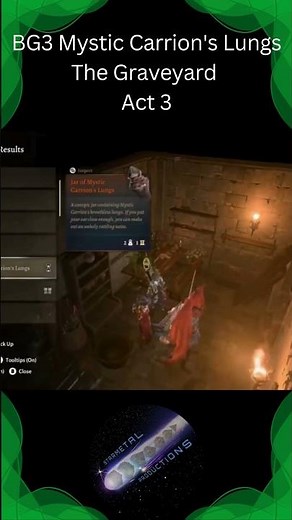 BG3 Hints and Tips #BaldursGate3 Mystic Carrion's Lungs The Graveyard Act 3