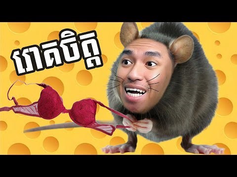 ខ្ញុំគឺជា កណ្ដុររោគចិត្ត !!! 🤣 | Rat Simulator