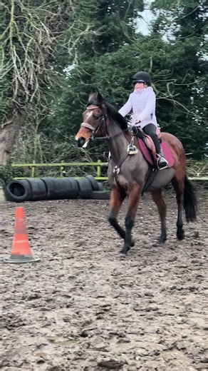 Betts & lady getting acquainted & settling her in@Wilcox Family ❤️ @Georgia @Dora.eq 🐴 @Onlyhooves/stubbornasfunk @Georgia💋 @🧲The unstable equestryans 🧲 @Annabelle_eq🤍✨️ @🐴⚪️SpotTheDifference⚪️🐴 #horsesoftiktok #equestrian #foryoupage❤️❤️ #foryoupage❤️❤️ #horseriding
