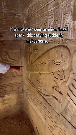 1.6K views · 703 reactions | What if the “snake” wasn’t a snake at...