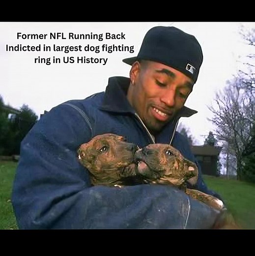 Leshon Johnson Indicted in Major Dog Fighting Case