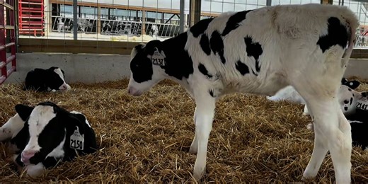 SMALL TOWNS: Berlin dairy farm embracing innovation