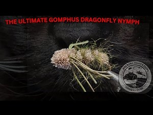 Tying the ultimate gomphus dragonfly nymph #flytying #flytyingaddict #fliegenbinding