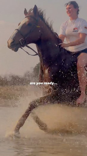 VOLUNTEER ENCOUNTER on Instagram: "Are you ready?! 🦒🐘🐴🦏🦁 Our Stables Working Holiday is incomparable! 💚 Book your spot, catch a flight & come live the dream with us! ☁️ Link in our bio for more information! • #wildlifereels #horsereels #horsereel #equestrian #gapyeartravel #trendingaudios #trendingreelsvideo #wildlife #travelreel #travelblogger #travelreels #dreamlife #workingholiday #volunteering #volunteerworld #trendingsongs #rhino #giraffe #wildanimals #animalreels"