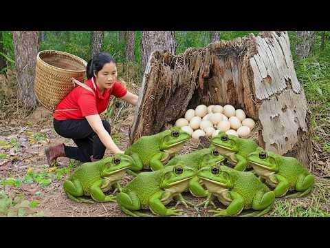 Harvesting 1000+ Giant Wild Frogs from an Ancient Tree & Goes to Market Sell – Survival Life