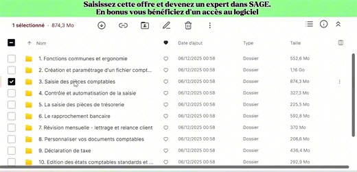 Marre de galérer sur Sage ? Que tu débutes complètement ou que tu souhaites monter en compétence, cette formation intensive te prend par la main : paramétrage, compta, gestion commerciale, paie et immobilisations, tout expliqué pas à pas avec cas réels, exercices guidés et accès aux logiciels en bonus pour t’entraîner en conditions réelles. Résultat : fini les erreurs, paies sans stress, déclarations fiabilisées et des heures gagnées chaque mois. 🔥 Places limitées pour un accompagnement personn