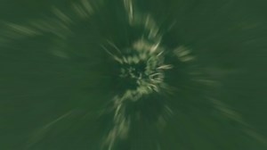 47K views · 665 reactions | Venture into the Amazon and discover your connection to the world's largest rainforest on Google Earth → goo.gl/h3Reh7 #IAmAmazon | Google | Facebook