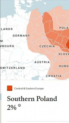 Ancestry DNA results. 2025 Update.