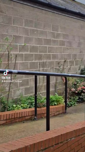 2.9K views · 38 reactions | Follow Jas as she takes us on a tour of our Animal Welfare Centre璉️With over 137 species we have the largest collection of animal species in Northamptonshire and second largest in the UK! Follow us for part 2 to discover our mini farm #conservation #welfarecentre #species #northamptonshire #animals #moultoncollege | Moulton College | Facebook