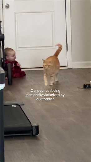 Simba's Reaction to Toddler Antics