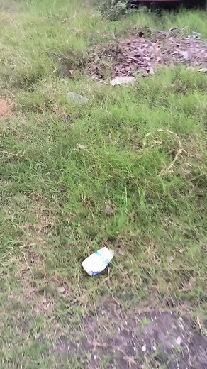 Diagnóstico y Programación del Ford Focus Desprogramado