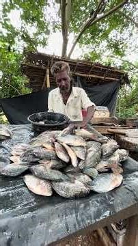 Amazing😱😱😱 traditional village rastafarian fish cutter #trending #viralvideo #fishmarket