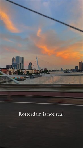 Discover the Heart of Rotterdam: A Home Away from Home