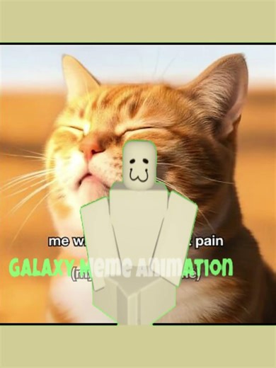 Looping the rooms - Greenscreen option